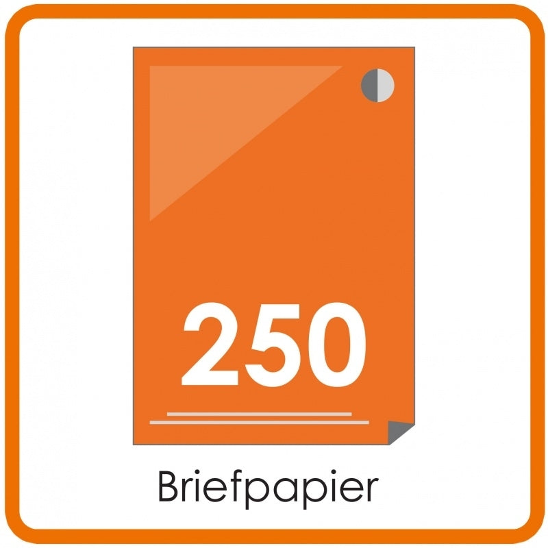250 X A4 briefpapier 29.7x21cm enkelzijdig full colour Digitaal