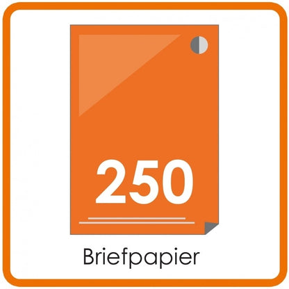 250 X A4 briefpapier 29.7x21cm enkelzijdig full colour Digitaal