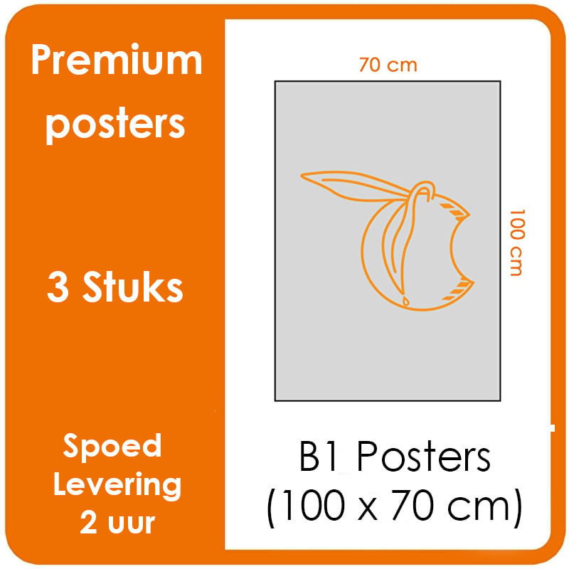 B1 Posters - Premium posters. Printformaat: 100 x 70 cm. Posterpapier: fotopapier mat 200 g/m² [3 stuks]