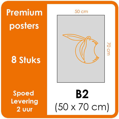B2 Posters - Premium posters. Print formaat: 500mm x 700mm Posterpapier: fotopapier mat 200 g/m² [8 stuks]