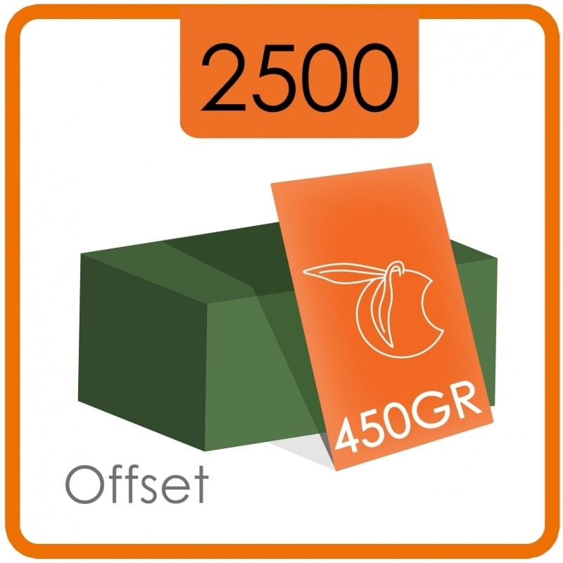 2500 Visitekaartjes - 450 g/m² - dubbelzijdig full colour met dispersielak