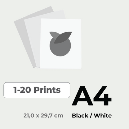 Print in Black & White A4 price for 1-20 pieces