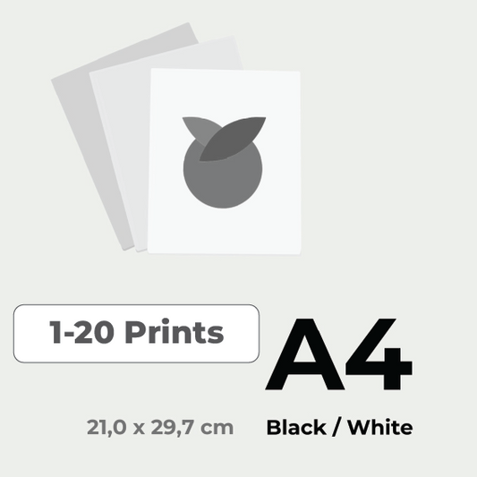 Print in Zwart-wit A4 prijs voor 1-20 stuks