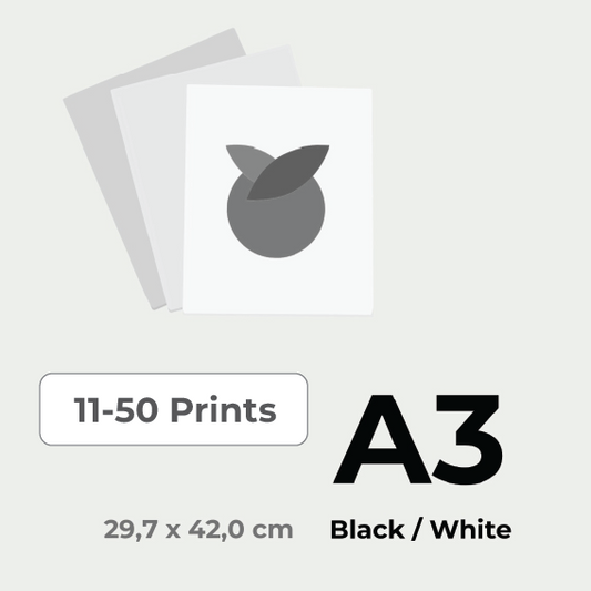 Print in Black & White A3 price for 11-50 pieces