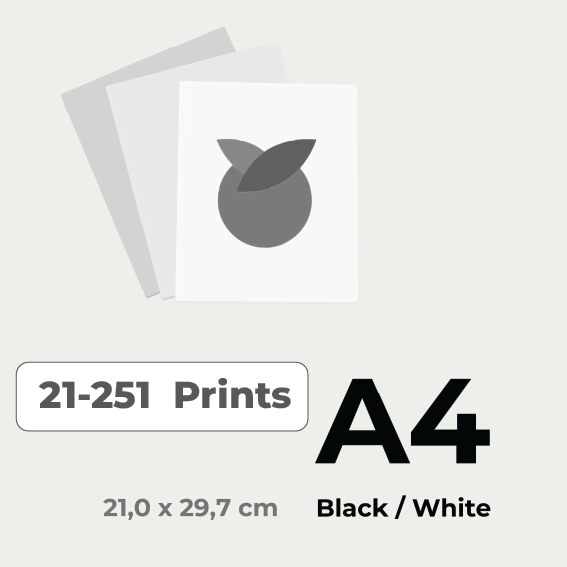 Print in Black & White A4 price for 21-251 pieces