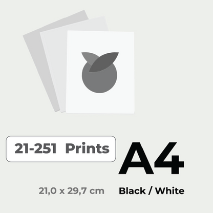 Print in Black & White A4 price for 21-251 pieces