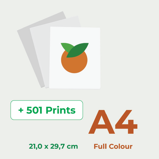 Print in Full colour A4, price for 501 or more pieces.