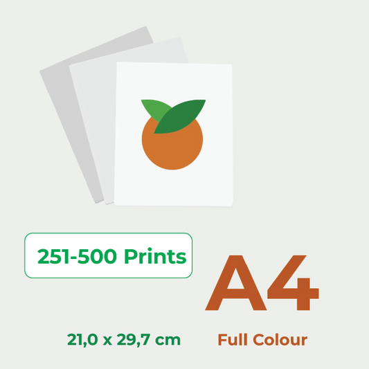 Print in Full colour A4, price for 251-500 pieces.