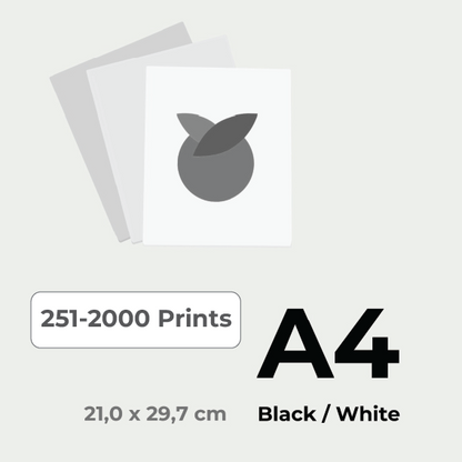 Print in Black & White A4 price for 251-2000 pieces