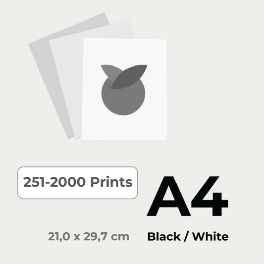 Print in Black & White A4 price for 251-2000 pieces