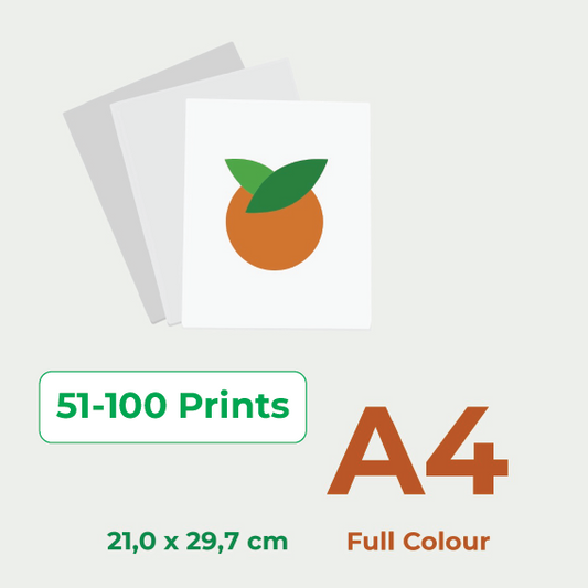 Print in Full colour A4, price for 51-100 pieces