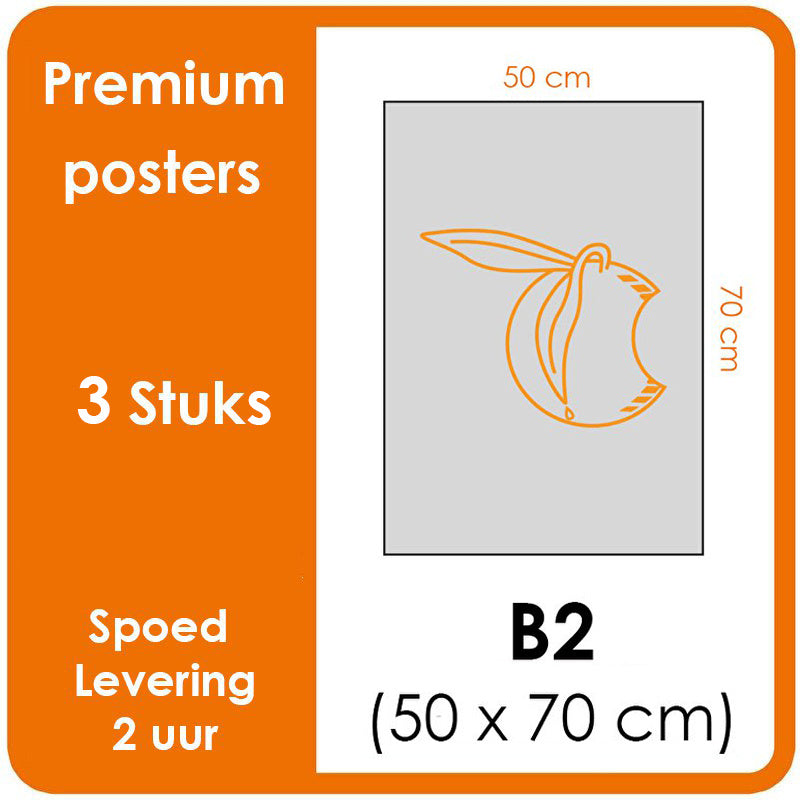 B2 Posters - Premium posters. Printformaat: 500 mm x 700 mm Posterpapier: fotopapier mat 200 g/m² [3 stuks]