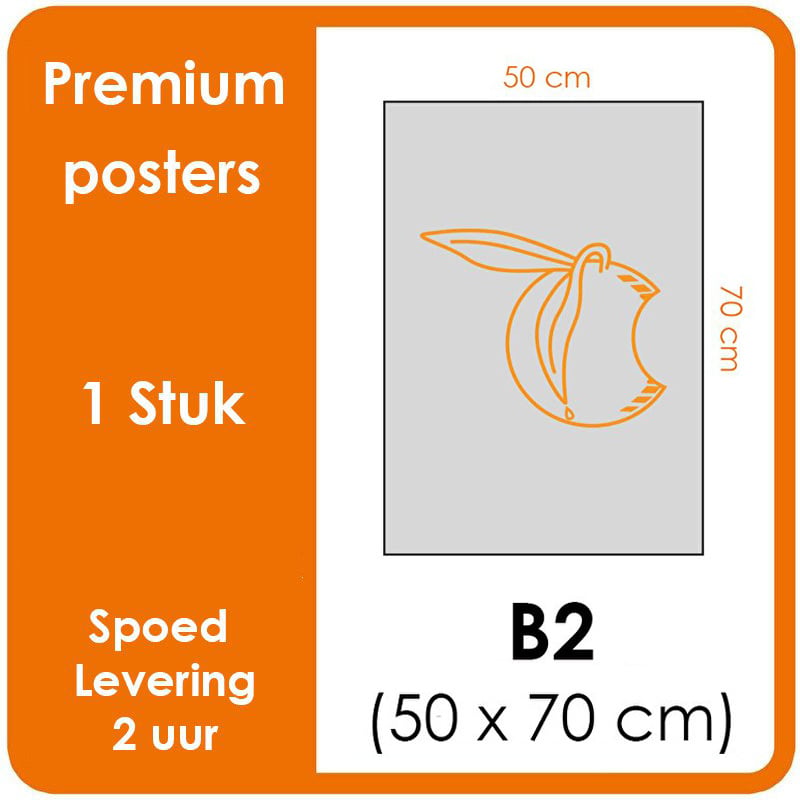 B2 Posters - Premium posters. Printformaat: 500 mm x 700 mm. Posterpapier: fotopapier mat 200 g/m² [1 stuk]