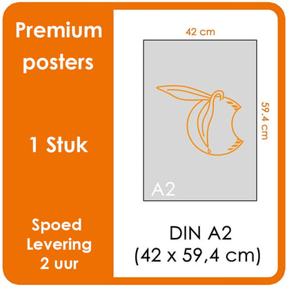 A2 Posters – Premium posters. Printformaat: 420mm x 594mm. Posterpapier: fotopapier mat 200 g/m² [1 stuk]