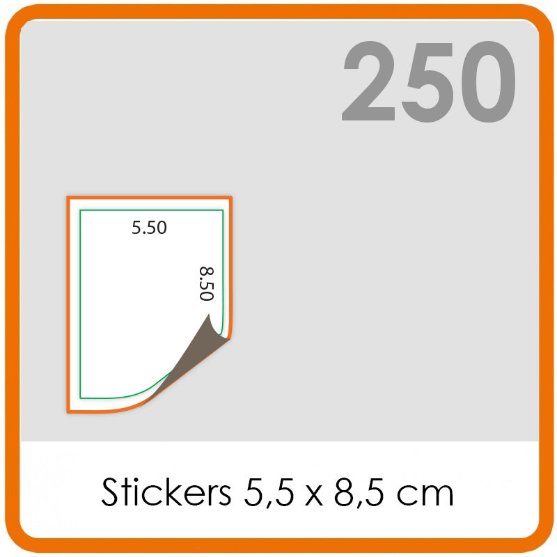 Stickers op rol - Stickers 5.5 x 8.5 cm - 250 stuks.